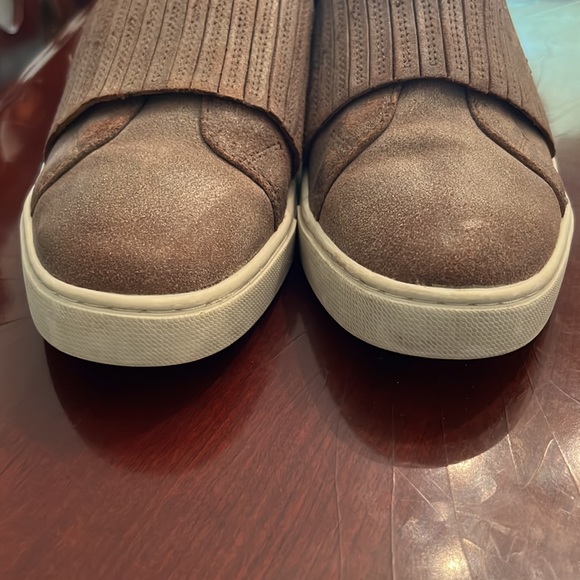 Frye - Ivy Gore - Chocolate - Picture 6 of 7